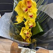 Orchid Arrangement 