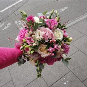 fwthumbDSC00113.jpg